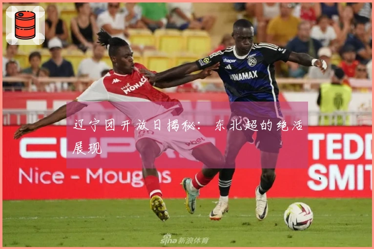 辽宁团开放日揭秘：东北超的绝活展现